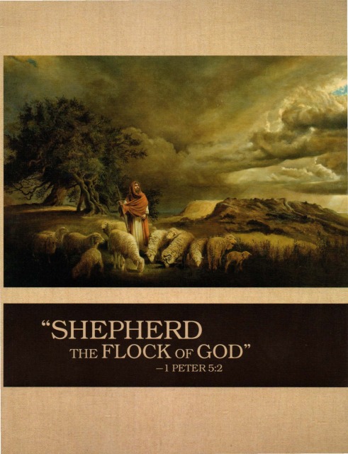Shepherd the Flock of God 2010 Cover